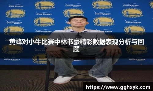 黄蜂对小牛比赛中林书豪精彩数据表现分析与回顾
